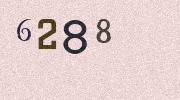 Visual Confirmation Security Code