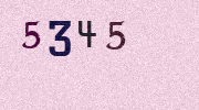 Visual Confirmation Security Code