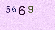 Visual Confirmation Security Code