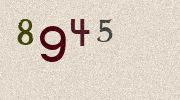 Visual Confirmation Security Code