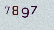 Visual Confirmation Security Code
