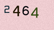 Visual Confirmation Security Code