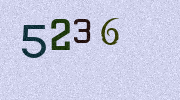 Visual Confirmation Security Code