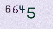 Visual Confirmation Security Code