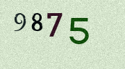 Visual Confirmation Security Code