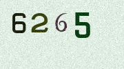 Visual Confirmation Security Code