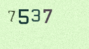 Visual Confirmation Security Code