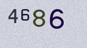 Visual Confirmation Security Code