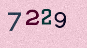 Visual Confirmation Security Code
