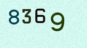 Visual Confirmation Security Code