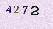 Visual Confirmation Security Code