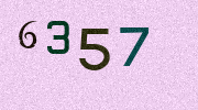 Visual Confirmation Security Code