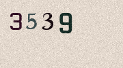 Visual Confirmation Security Code