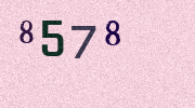 Visual Confirmation Security Code