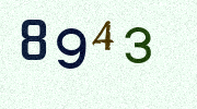 Visual Confirmation Security Code
