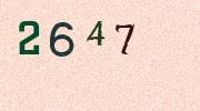 Visual Confirmation Security Code
