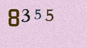 Visual Confirmation Security Code