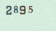 Visual Confirmation Security Code
