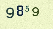 Visual Confirmation Security Code