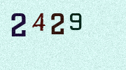 Visual Confirmation Security Code
