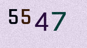 Visual Confirmation Security Code