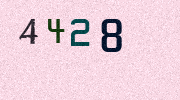 Visual Confirmation Security Code