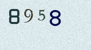 Visual Confirmation Security Code
