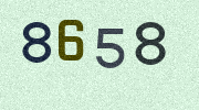 Visual Confirmation Security Code