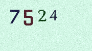 Visual Confirmation Security Code