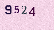 Visual Confirmation Security Code