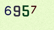 Visual Confirmation Security Code