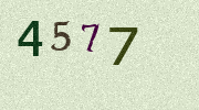Visual Confirmation Security Code