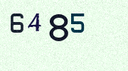 Visual Confirmation Security Code