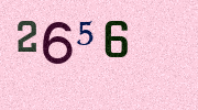 Visual Confirmation Security Code