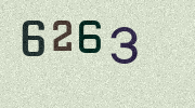 Visual Confirmation Security Code