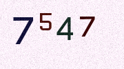 Visual Confirmation Security Code