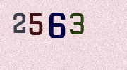 Visual Confirmation Security Code