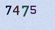 Visual Confirmation Security Code