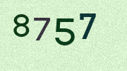Visual Confirmation Security Code