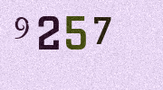 Visual Confirmation Security Code
