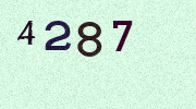 Visual Confirmation Security Code