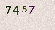 Visual Confirmation Security Code