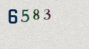 Visual Confirmation Security Code