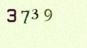Visual Confirmation Security Code