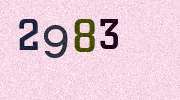 Visual Confirmation Security Code