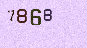 Visual Confirmation Security Code
