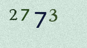 Visual Confirmation Security Code