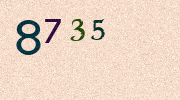 Visual Confirmation Security Code
