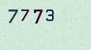 Visual Confirmation Security Code