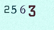 Visual Confirmation Security Code